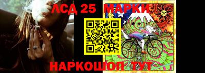 скорость Новозыбков