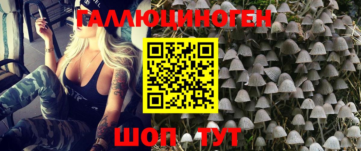Галлюциногенные грибы Psilocybine cubensis  Вход с VPN  Снежинск 