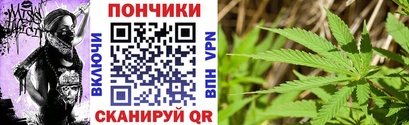 Марихуана план  Снежинск 